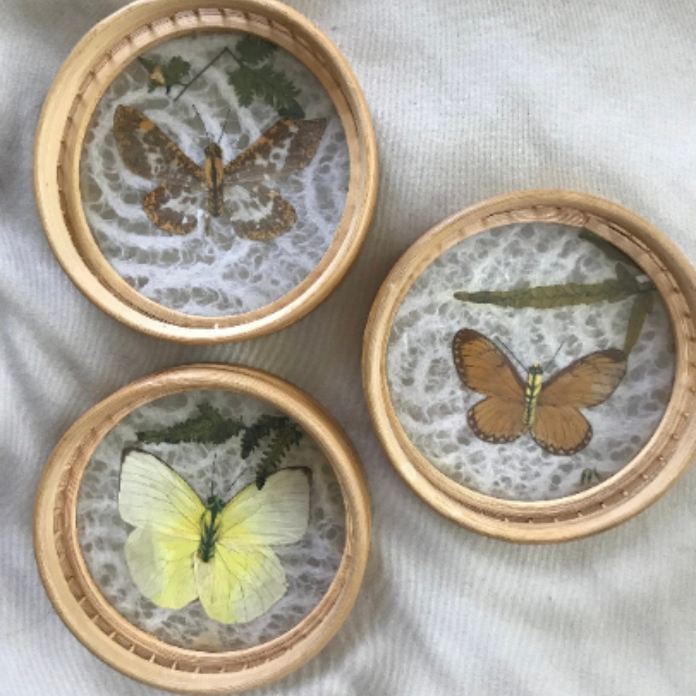 Set of three vintage butterfly flower coasters